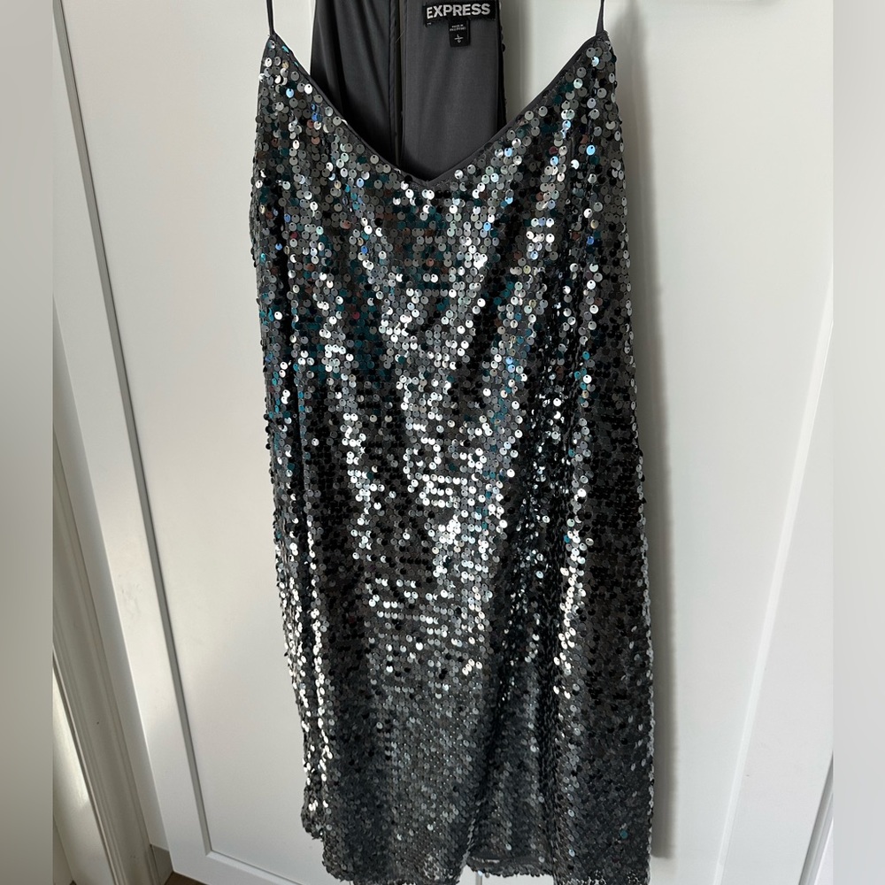 Sparkle sequin gorgeous dress from express